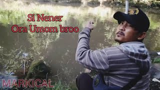 Mancing ikan nila || Panen Nener Nila