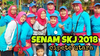 Senam SKJ DJADUL 2018 vila sawo cipete utara