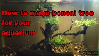 DIY how to make bonsai tree for planted aquarium 2021 by aqua seener