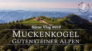 🇦🇹 Muckenkogel & Hinteralm / Gutensteiner Alpen | Silent Vlog #010