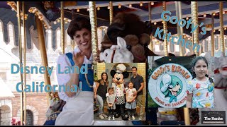 Disneyland - California 2019 - Family travel tips