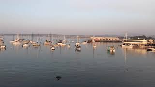 Monterey CA Labor Day Weekend 2020