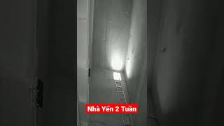 Nhà yến sau 2 tuần mở máy