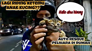 ASYIK RIDING KETEMU ANAK KUCING TERLANTAR.. AUTO RESCUE DIRUMAH❗❗