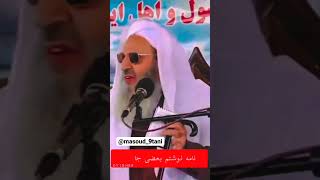 مردم همه دین دار نیستند ولی شایستگی دارند که درحکومت کار گرفته شوند ساب فراموش نشه چنل ماراساب کنید