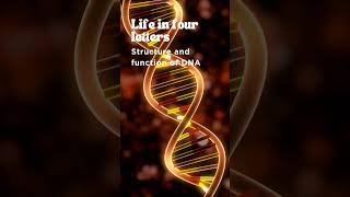 Life in four letters | Structure and function of DNA #biology #biodiversity #educationalvideo