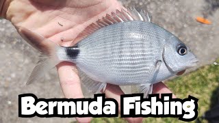 Catching New Species in Bermuda | Bermuda Fishing 🇧🇲