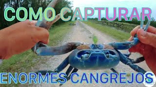 🦀CÓMO ATRAPAR CANGREJOS AZULES  EL TABASQUEÑO PESCA Y MAS  🦀