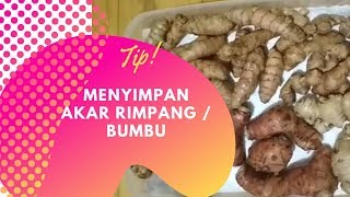 Tip Menyimpan Akar Rimpang / Rimpang / Bumbu