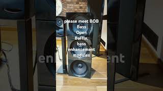 BOB - Bass Open Baffle for OGY