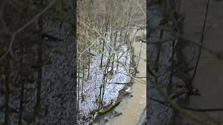 Swayze Falls in Full Spring Flood #shorts