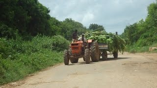 ABUURKA KU DAADI WEEYOO KHEYRADKA KA DOONO WEEYE - AFGOOYE