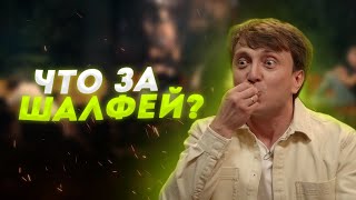 Что за ШАЛФЕЙ из истории Дорохова на ЧТО БЫЛО ДАЛЬШЕ?