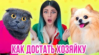 КАК ДОСТАТЬ ХОЗЯЙКУ | КОТИКУ И ПЕСИКУ