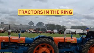 Tractors in the Show Ring at Welland Steam Rally 2024- Fordson, Massey Ferguson, Nuffield, Leyland