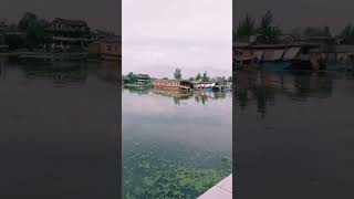 Watuman Dallake #shorts#shortsfeed#tntrainbowzkashmir#viral#youtuber#shortsvideo#2023#india#viral