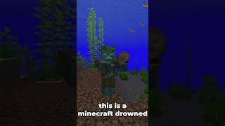 The Minecraft Drowned #shorts