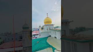 Jai Raja Sahib Ji #waheguru #rajasahib #wmk #rajasahibji #youtubeshorts #viralshort #viralvideo #jai