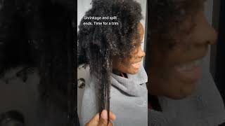 4c hair with split ends | shrinkage #shorts