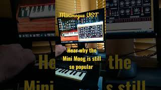 Minimogue VST Soloing - more music videos @soloharmonicsrobj8246