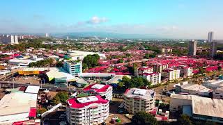 BmCargo Panamá ||| Social Media Content ||| Drone 2018