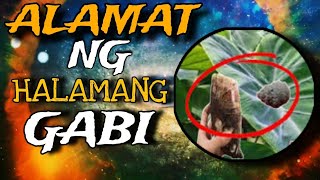 ANG ALAMAT NG GABI+MAKUKUHA MULA SA GABI/LIHIM NA KAALAMAN