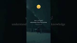 الحقيقة هي أن الفهم أعمق من المعرفة | القليل من يفهمك #explore #reels #remix #poetry #shorts #fyp