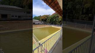 Piscina olímpica com agua de rio #foryou #fy #viral #limpeza #pool #dicas #satisfying #satisfy #fyp