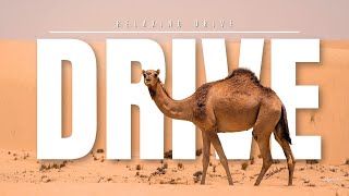 Desert Drive in Dubai