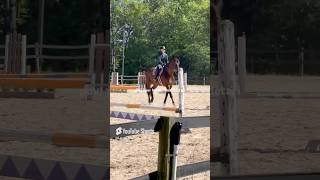 She’s such a big horse 😍 #horse #equitation #equestrian #hunterjumper