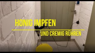 Honig impfen und cremig rühren