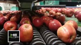 Hi Tech Product in Adani Agrifresh #kashmir - एप्पल ग्रेडिंग मशीन Apple Grading Machine