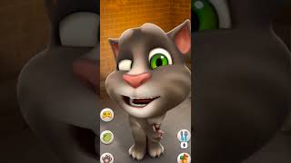 my Talking Tom Android wonderful gameplay video 378_