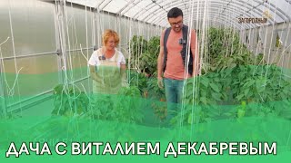 Дача с Виталием Декабревым Сезон 3 / Выпуск 2