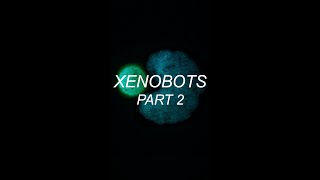 Are Xenobots living organisms or machines? #shorts