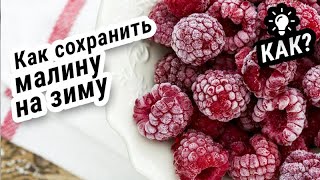 ЗАМОРОЗКА МАЛИНЫ! #Инструкция