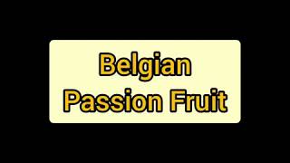 Degustação - Belgian Fruit