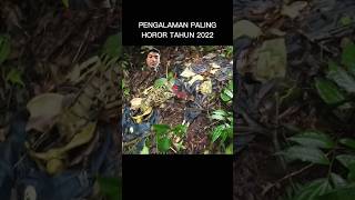 Gunung Wilis. #hutan #misteri #gunung #gunungwilis #shorts