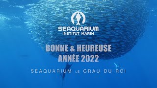 Bonne année 2022