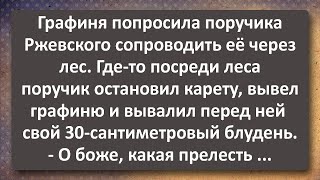 Поручик Ржевский Разкукожил в Лесу Графиню Ланскую! Сборник Самых Свежих Анекдотов!