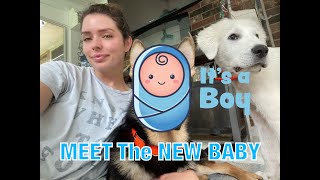 MEETING The NEWEST FAMILY MEMBER! *Property Update*