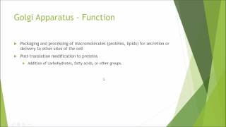 Cell Biology: Organelle basics