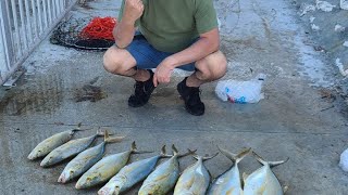 Fishing en  KEY WEST