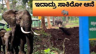 ನಾವ್ ನೈಟ್ ನೋಡಿದ್ದು ಆನೆ 🐘🧐ಇದ್ರುಕಿಂತ double size ettu #bike #travel #vlog #kannada