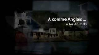 Séjour linguistique SILC en France : A comme anglais... A for animals