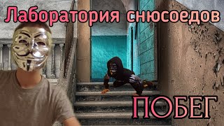 ПОБЕГ ИЗ ЛАБОРАТОРИИ СНЮСОЕДОВ! Новая особь или потеря друга?