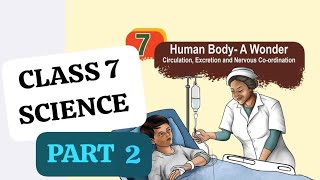 CLASS 7 SCIENCE CHAPTER 7 HUMAN BODY - A WONDER EXCRETION PART 2