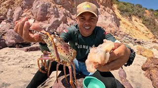 PESCANDO MEU ALMOÇO NA PESCA SUB E COMENDO NA PRAIA ! ( CATCH AND COOK)