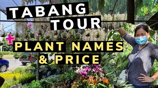 TABANG GARDEN PLANT TOUR 😍 with Plant Names & Price Range | Guiguinto, Bulacan Philippines