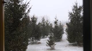 Heavy Snow in Eastern Iowa